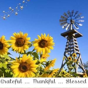 Meet your Posher, Vickie